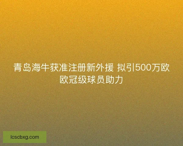 青岛海牛获准注册新外援 拟引500万欧欧冠级球员助力