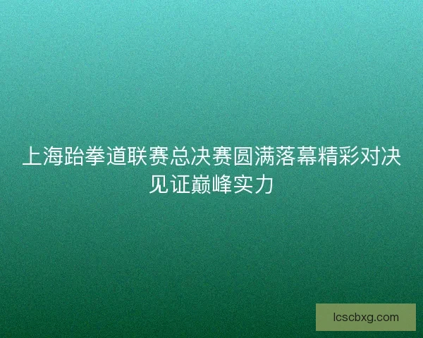 上海跆拳道联赛总决赛圆满落幕精彩对决见证巅峰实力